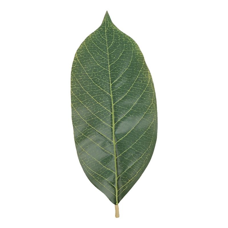 Artificial Green Magnolia Leav - Home Decor Catalog 评论和价格