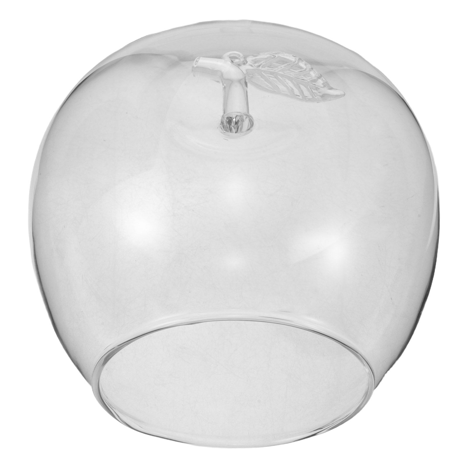 Fruit Themed Glass Dome Cloche - Home Decor Glass 评论和价格