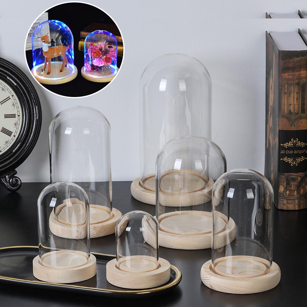 Home Decor Plants Jar Terrariu - Home Decor Glass 评论和价格