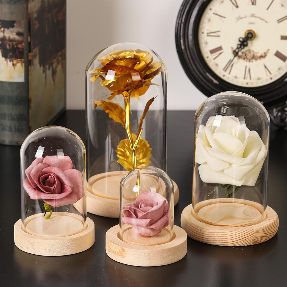 Home Decor Plants Jar Terrariu - Home Decor Glass 评论和价格
