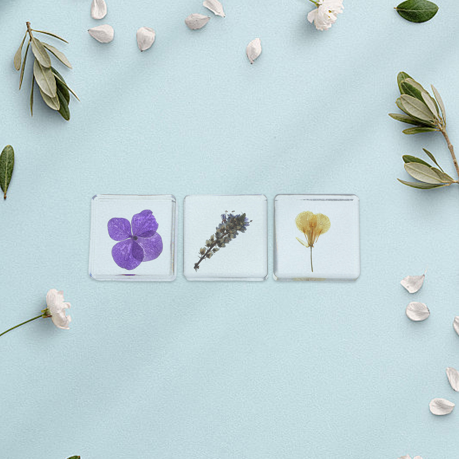 3Pcs Flower Resin Specimen Bot - Home Decor Flowers 评论和价格