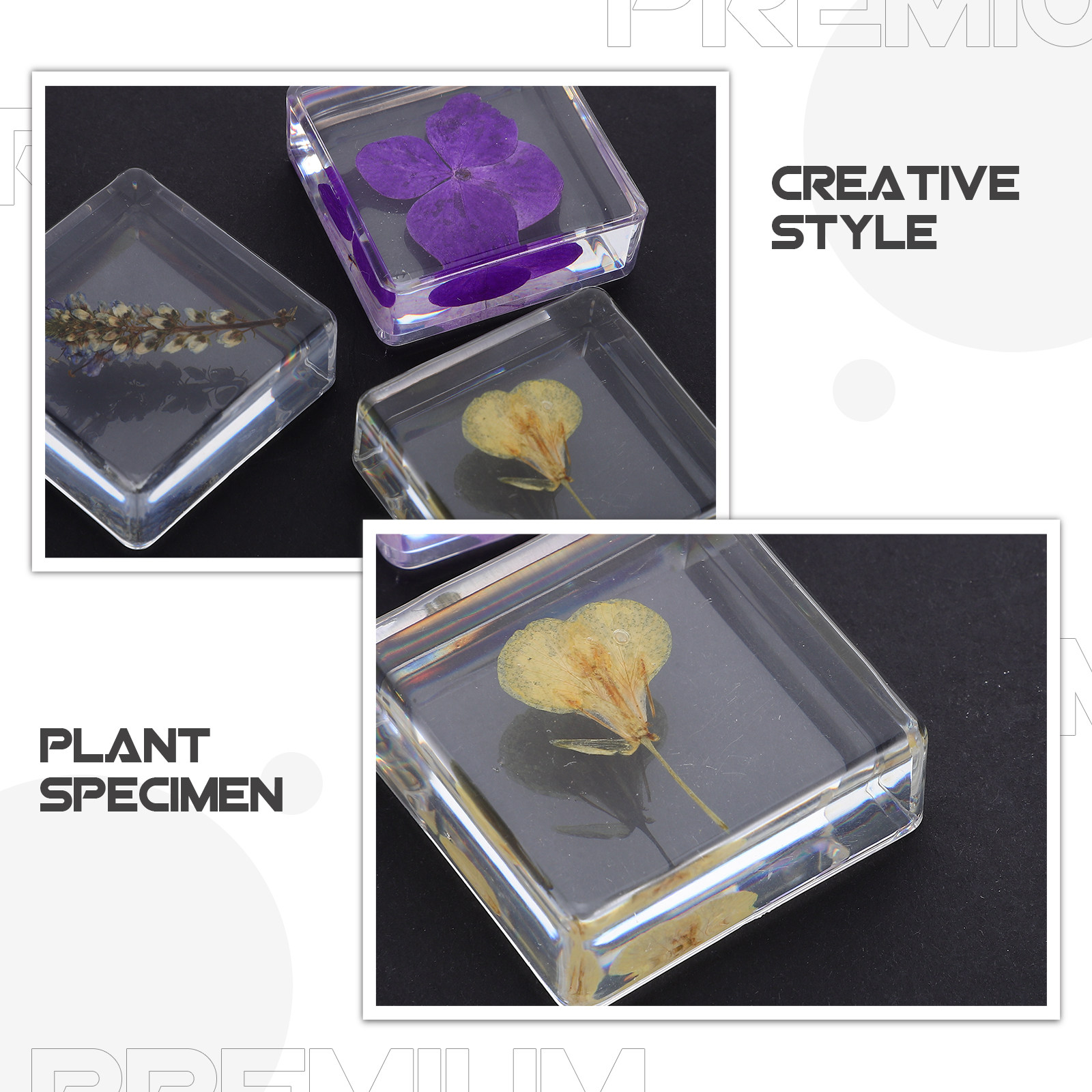 3Pcs Flower Resin Specimen Bot - Home Decor Flowers 评论和价格