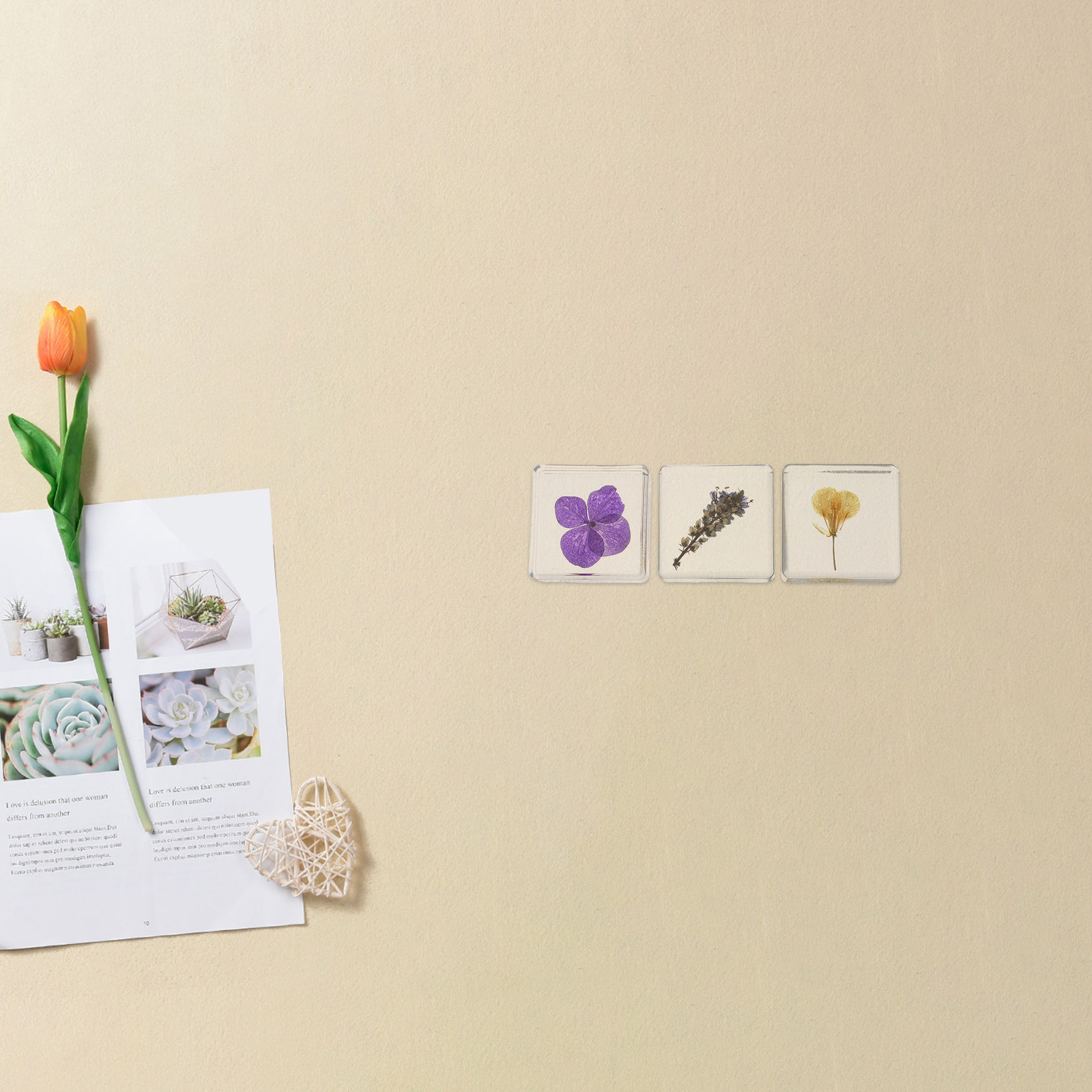 3Pcs Flower Resin Specimen Bot - Home Decor Flowers 评论和价格