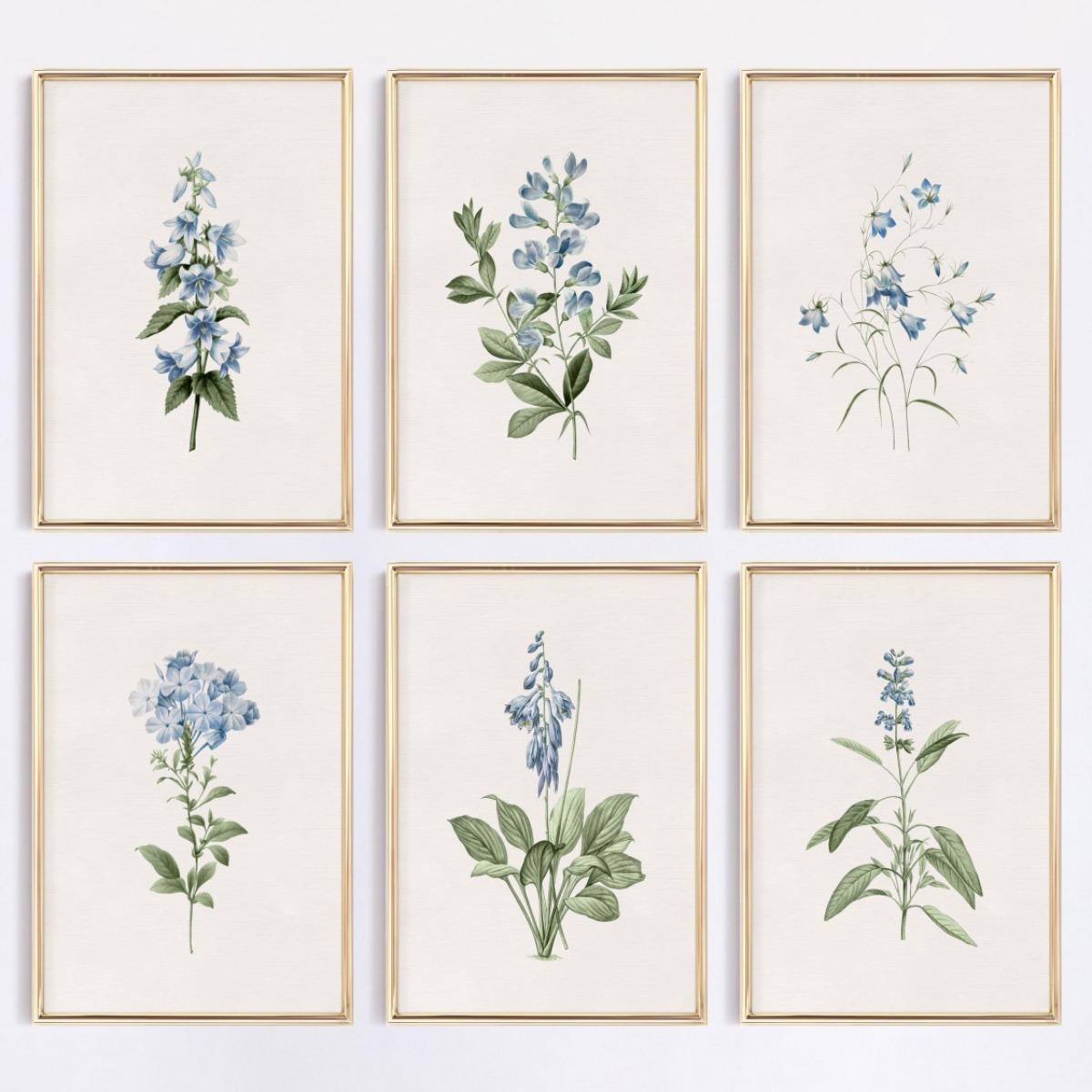 1pcs Blue Wildflower Botanical - Home Decor Minimal 评论和价格
