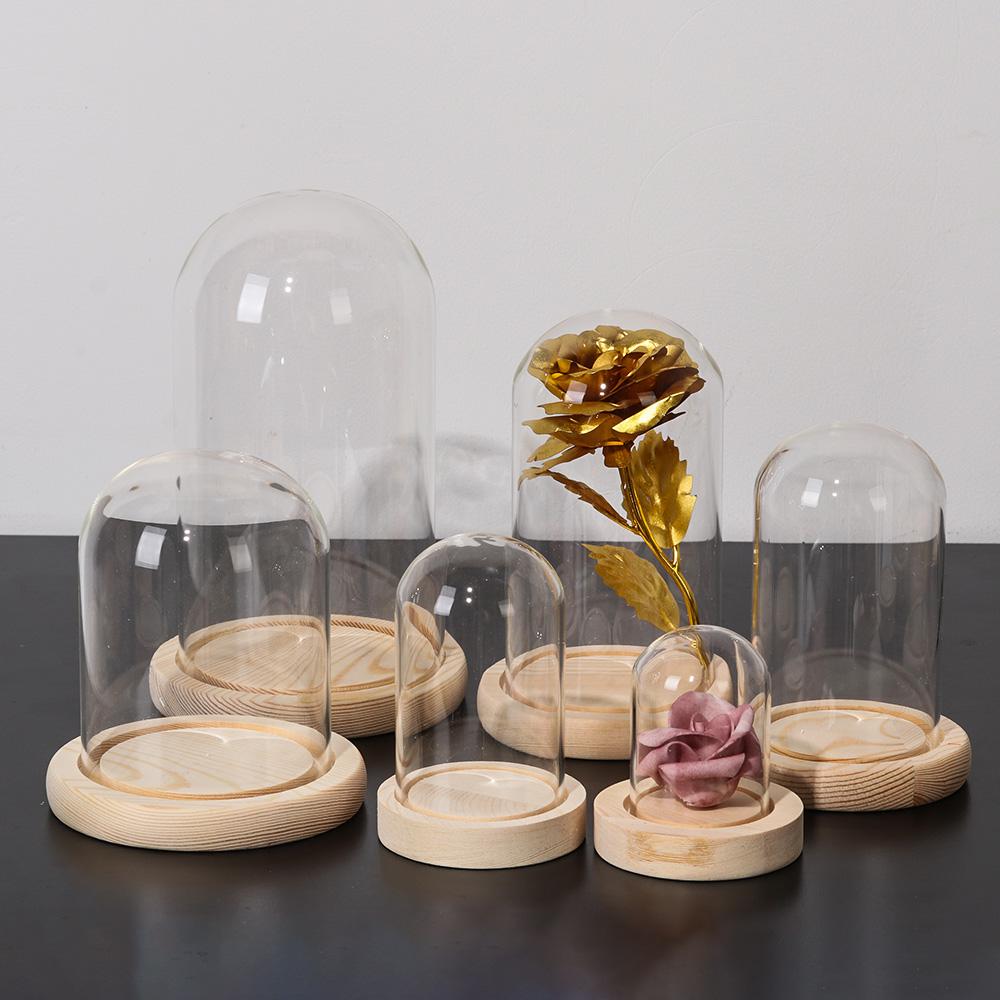 Fairy Lights Home Decor Terrar - Home Decor Glass 评论和价格